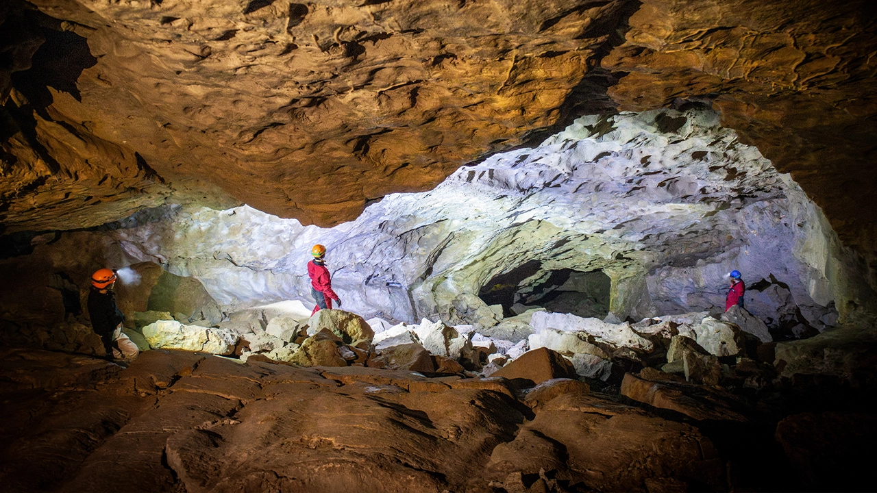 Bat hibernacula search video thumbnail