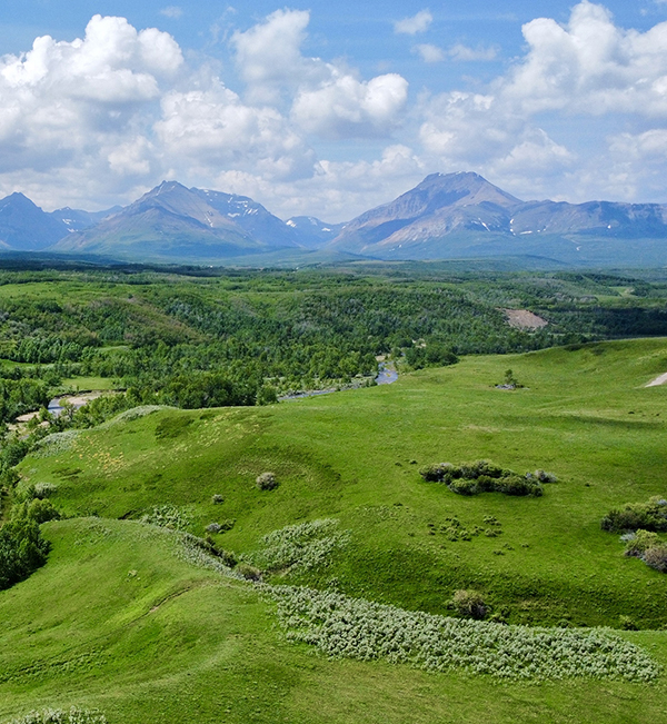 Aerial landscape from a drone